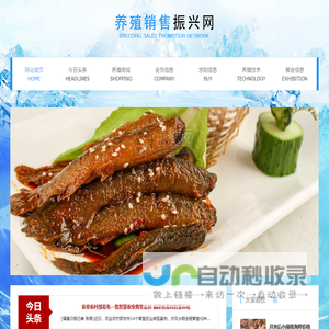 养殖销售振兴网